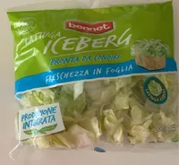 Insalata iceberg