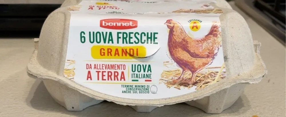 6 Uova fresche grandi allevamento a terra