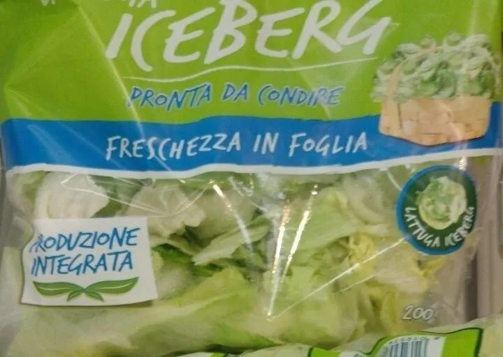Lattuga Iceberg
