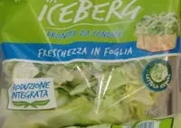 Lattuga Iceberg