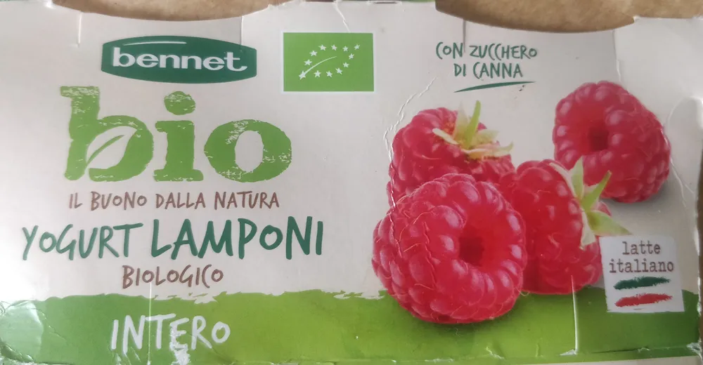 Yogurt lamponi biologico intero
