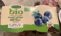 Yogurt intero mirtilli biologico