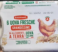 Uova fresche
