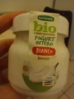 Bio yogurt intero bianco