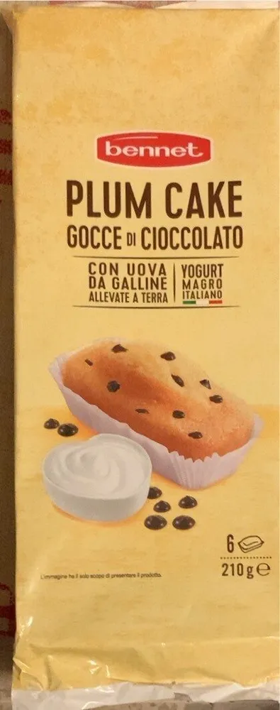 Plum Cake gocce di cioccolato