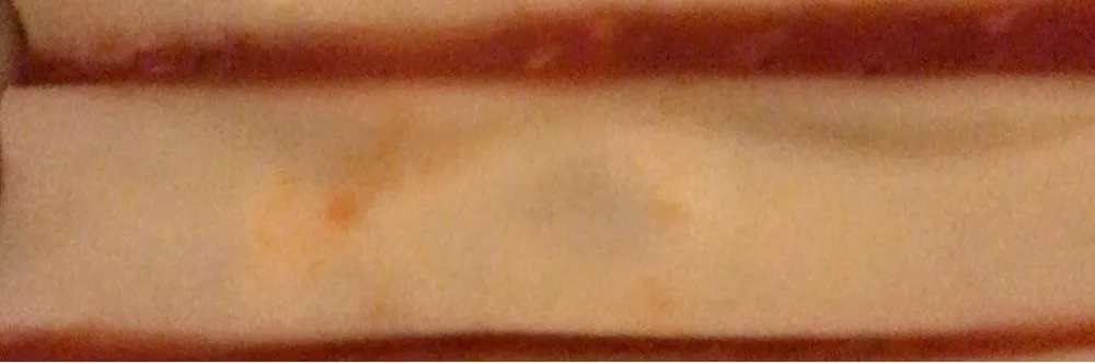 Cannelloni di Ricotta e Spinaci