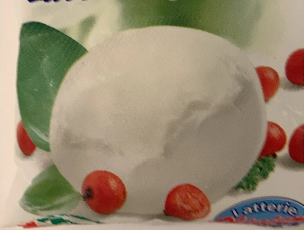Bocconcino