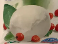 Bocconcino