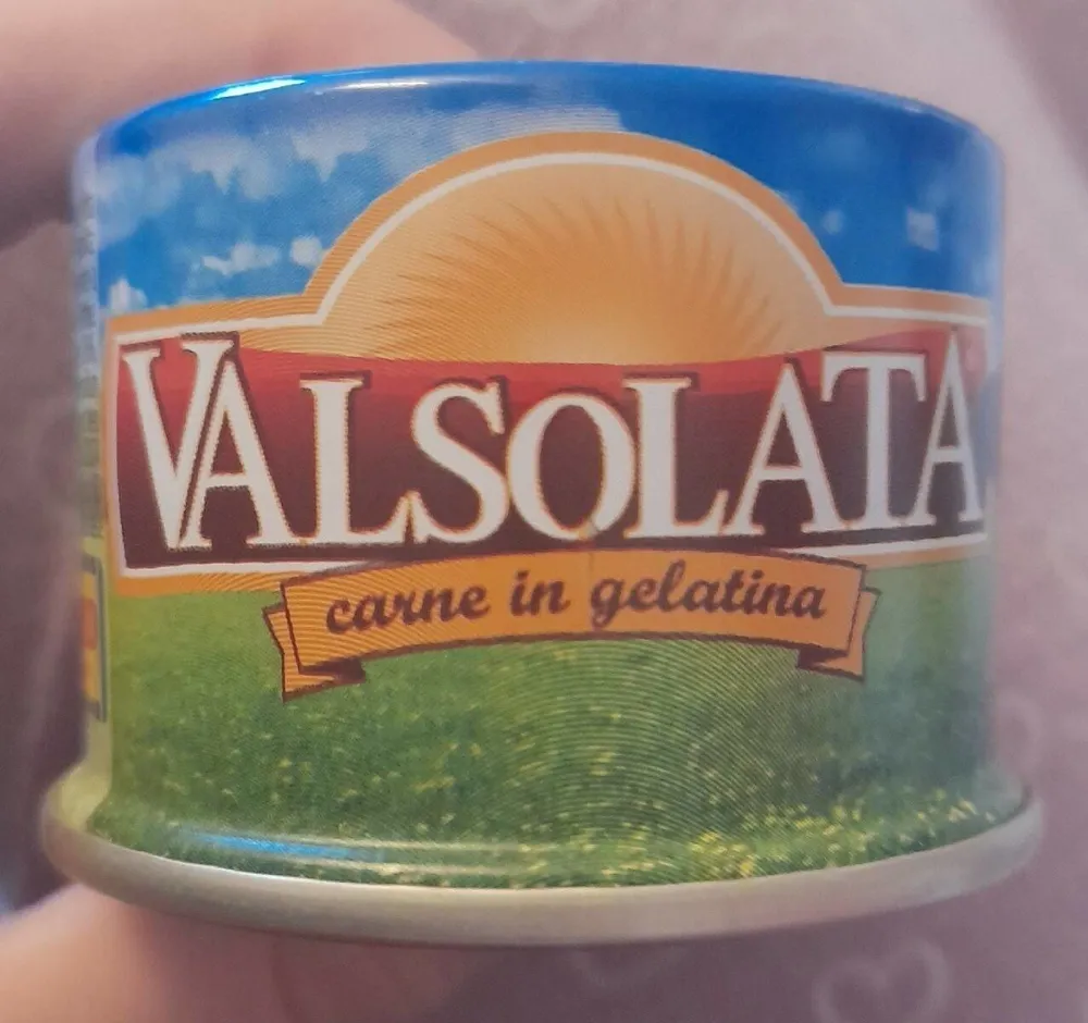 Carne in gelatina