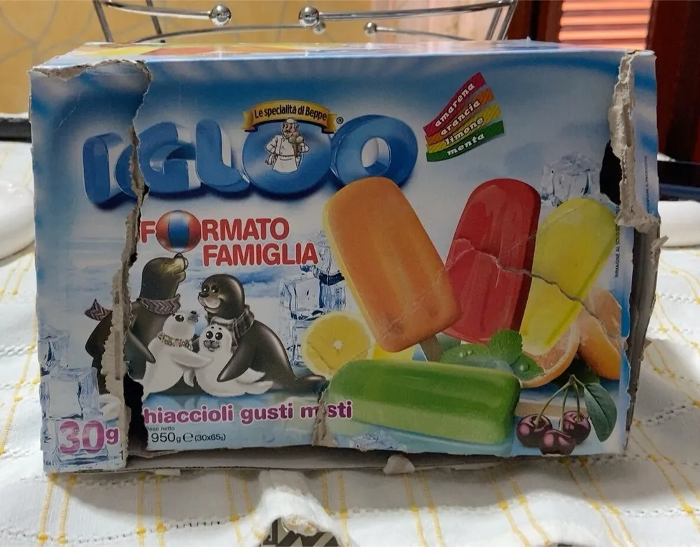 Igloo