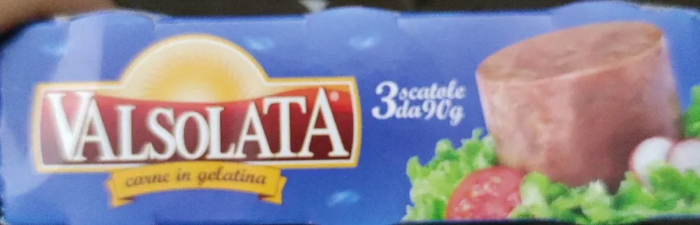Carne in gelatina