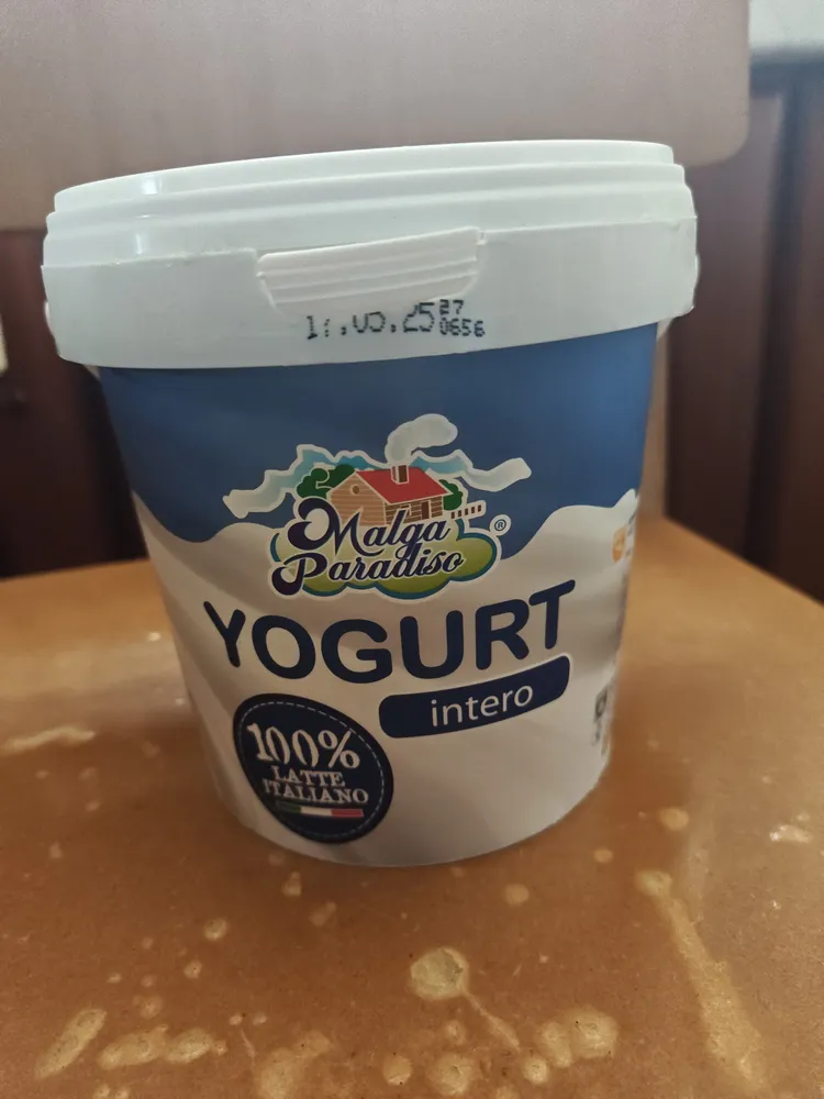 Whole yogurt