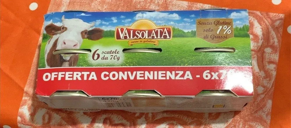 Carne in gelatina