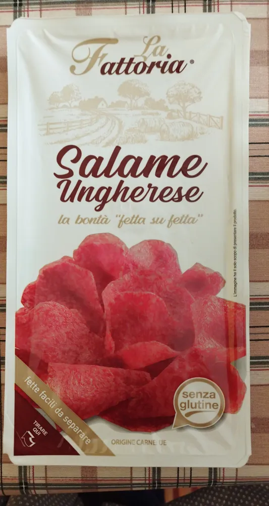 Salame ungherese