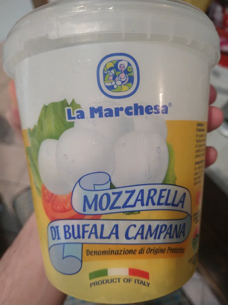 mozzarella di bufala