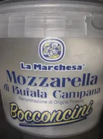 Bocconcini