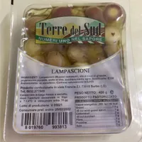 Terre del sud lampascioni
