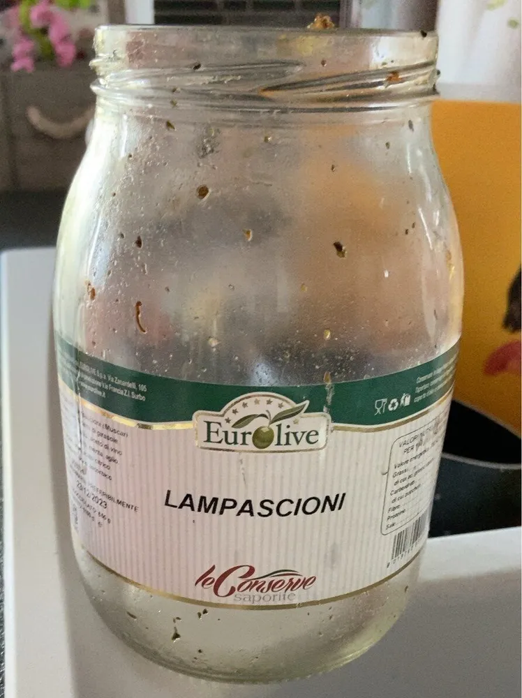 Lampascioni