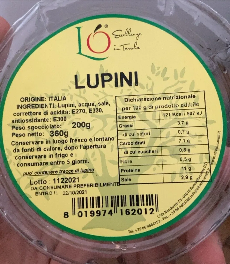 Lupini