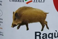 Ragù di cinghiale