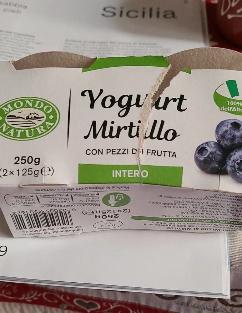 Yogurt mirtillo