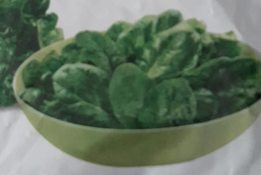 Spinaci in foglia