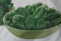 Spinaci in foglia