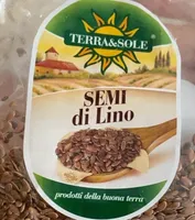 Semi di lino