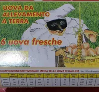 Uova