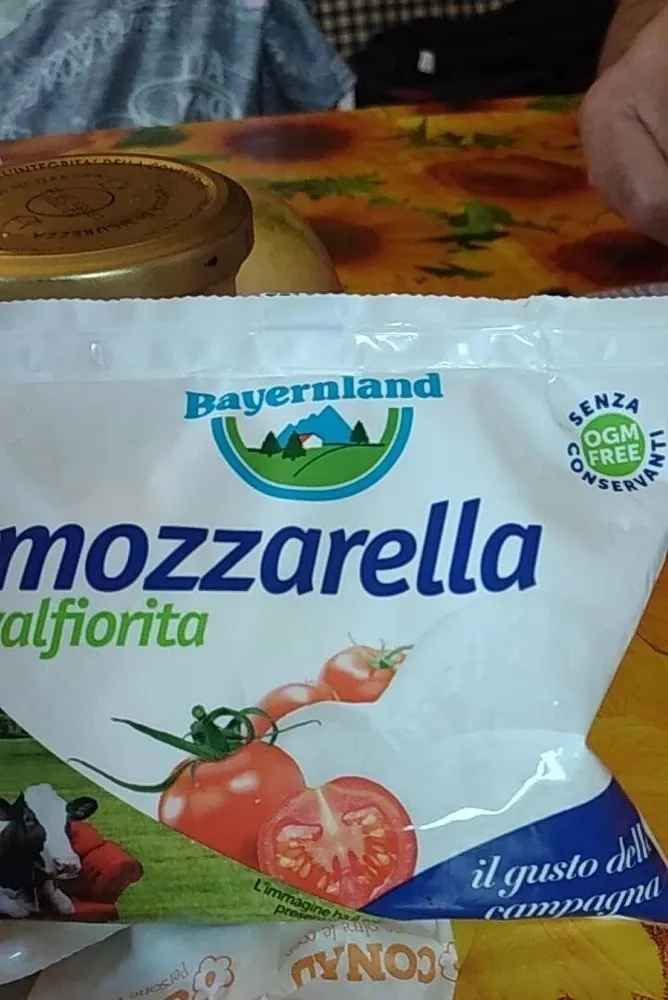 Bayerland mozzarella