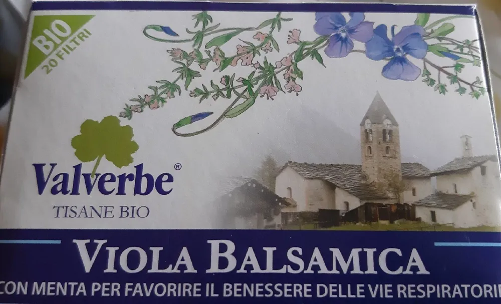 Viola balsamica