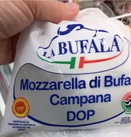 Mozzarella di bufala