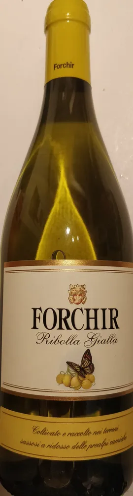 Forchir Ribolla gialla