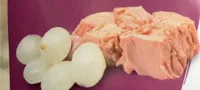 Tartaruga