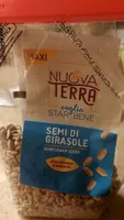 Semi di girasole