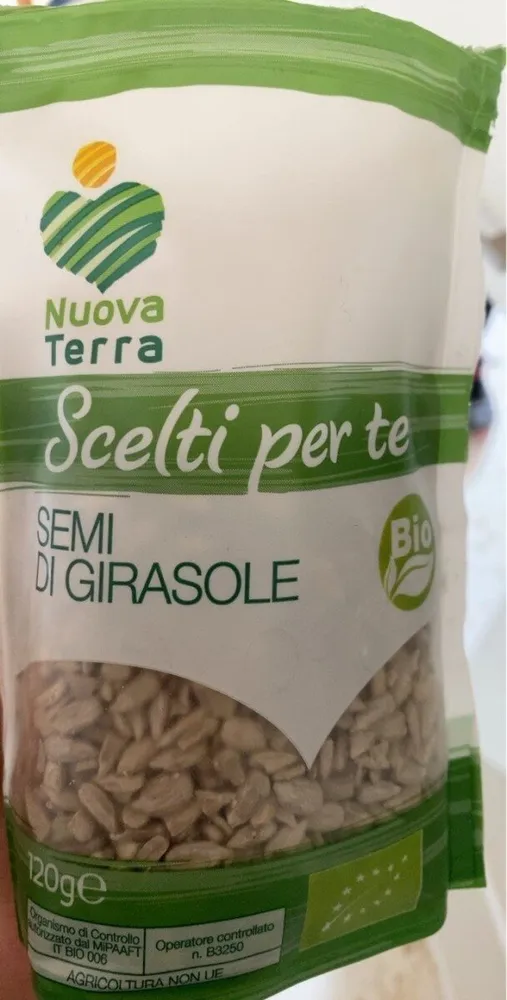Semi di girasole