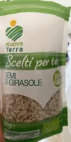 Semi di girasole