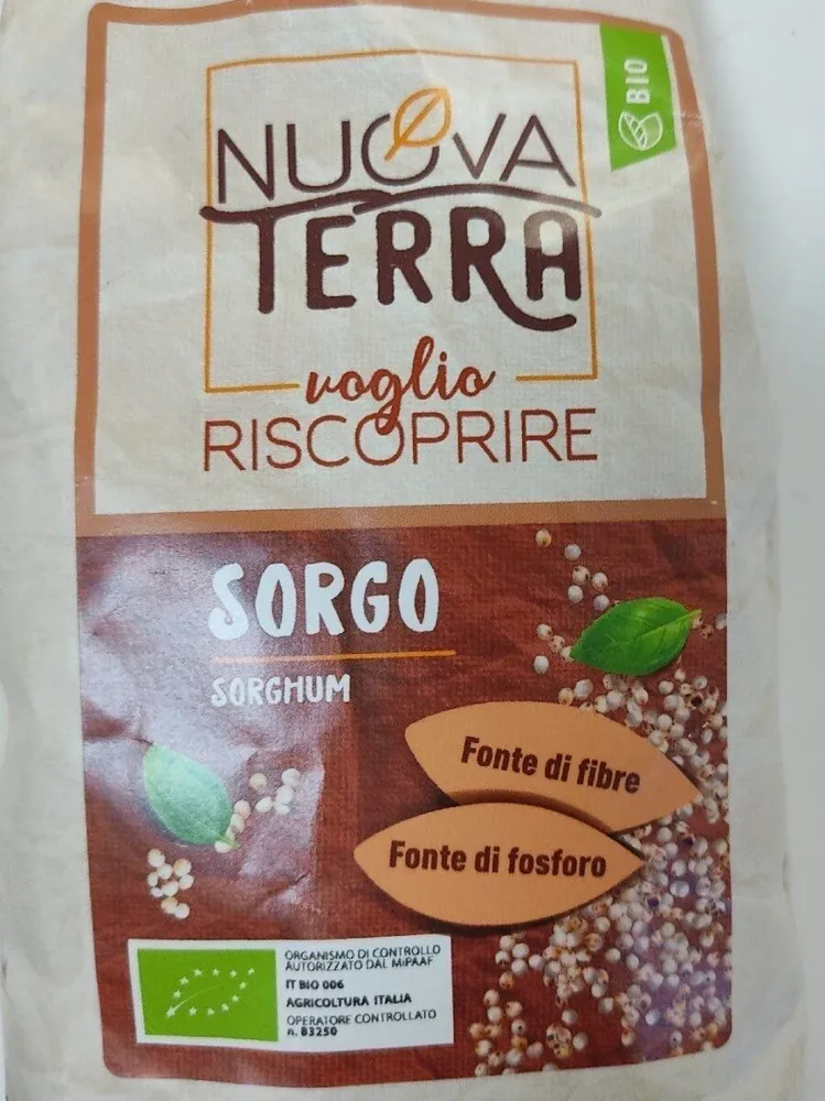 Sorgo