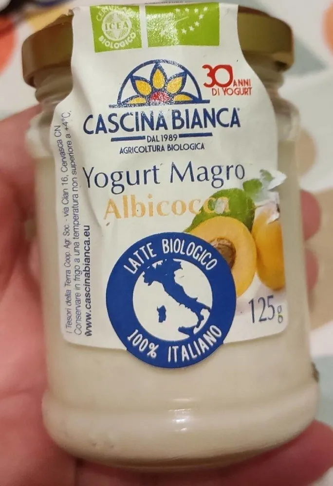 Yogurt