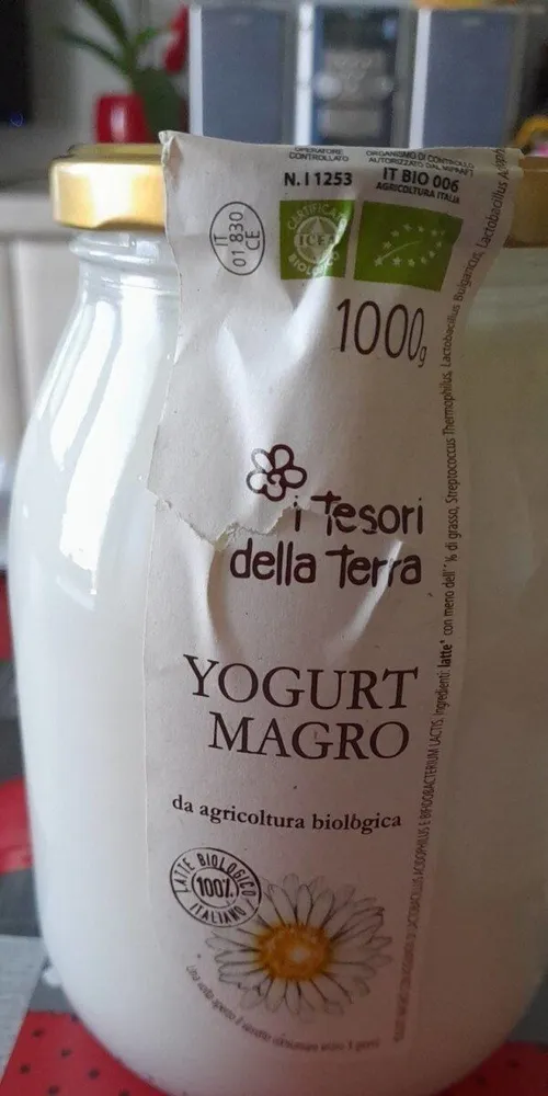 Yogurt magro