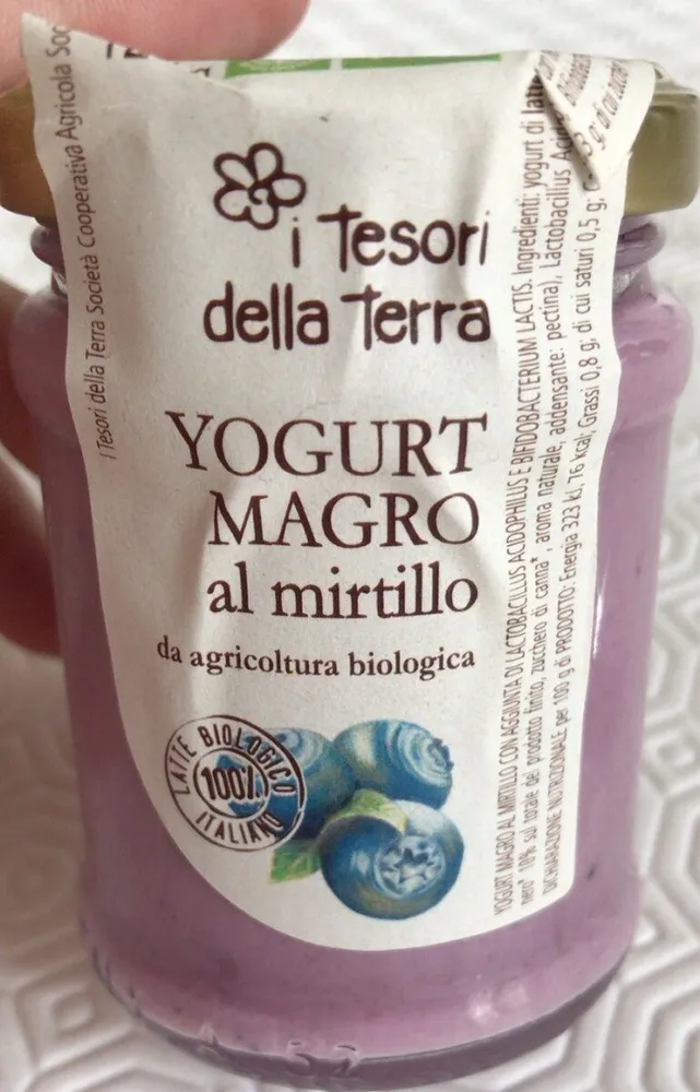 Yogurt magro al mirtillo