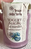 Yogurt magro al mirtillo