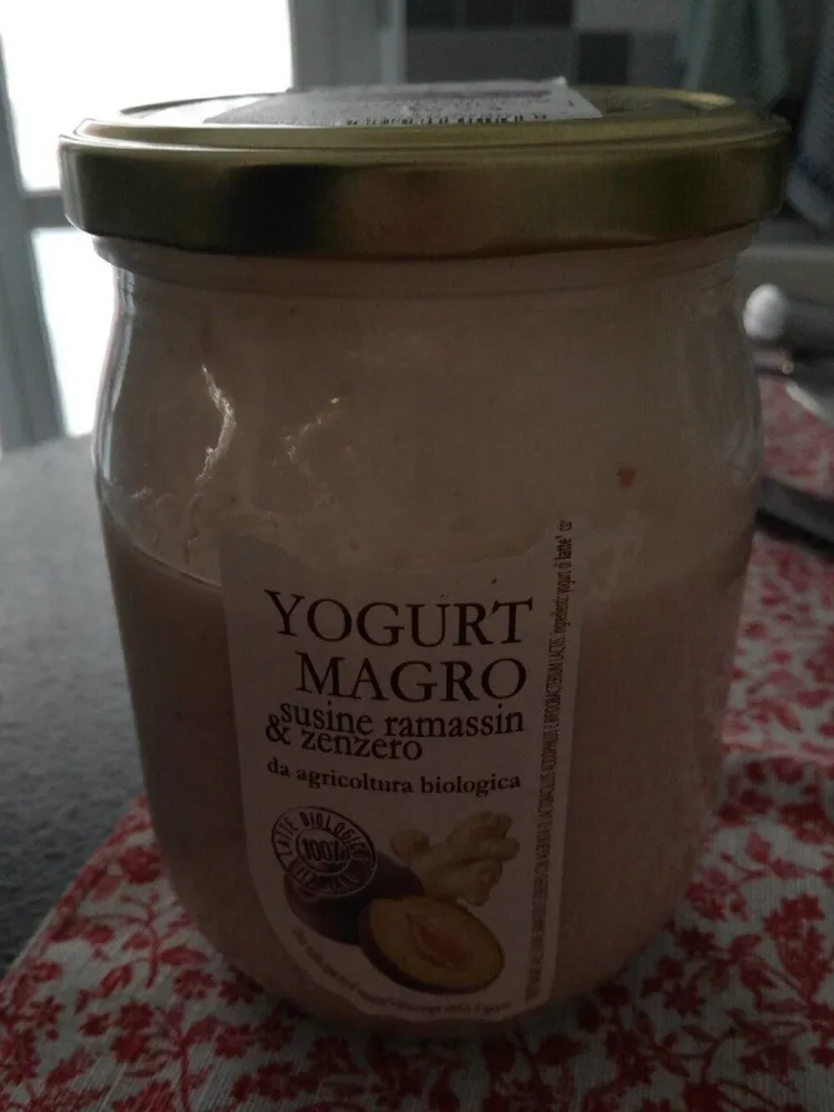 Yogurt Magro Susine Ramassin & Zenzero