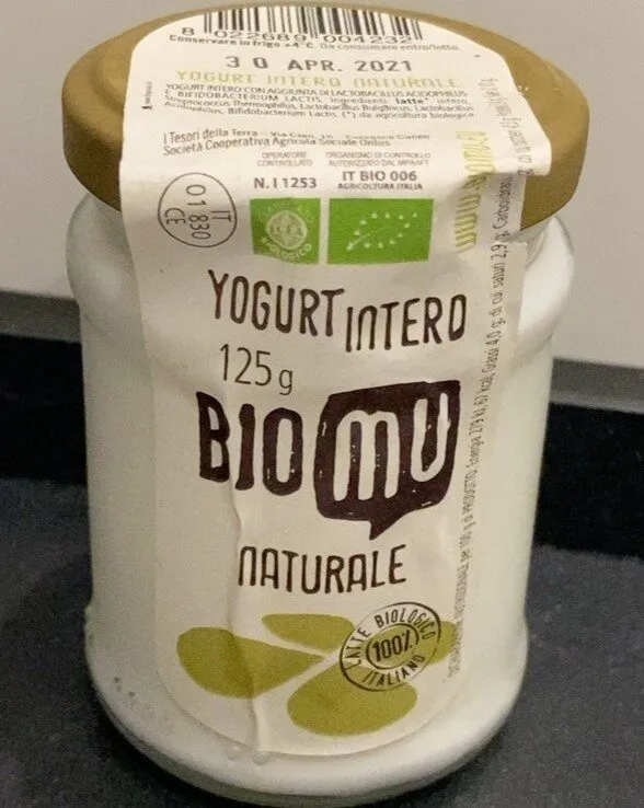 Yogurt intero naturale