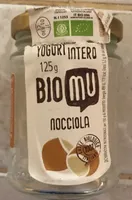 Yaourt entier à la noisette