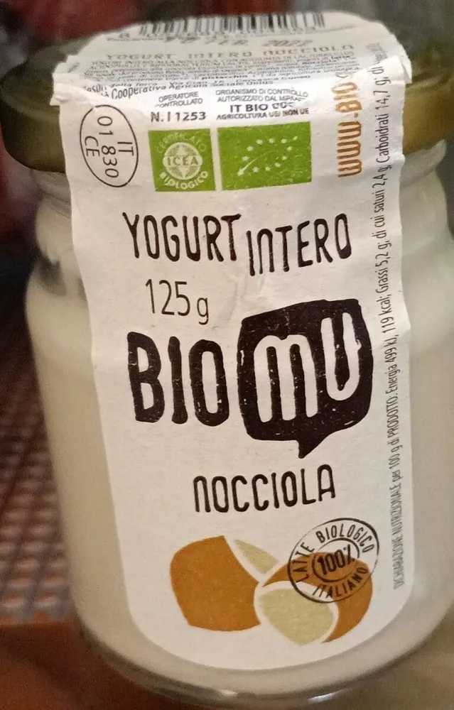 Yogurt