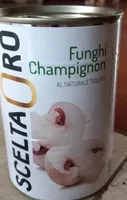 funghi champignon