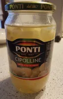 Cipolline