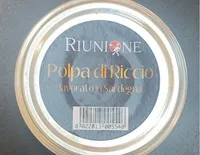 Polpa di Riccio