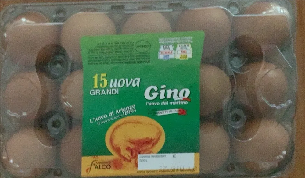 Gino